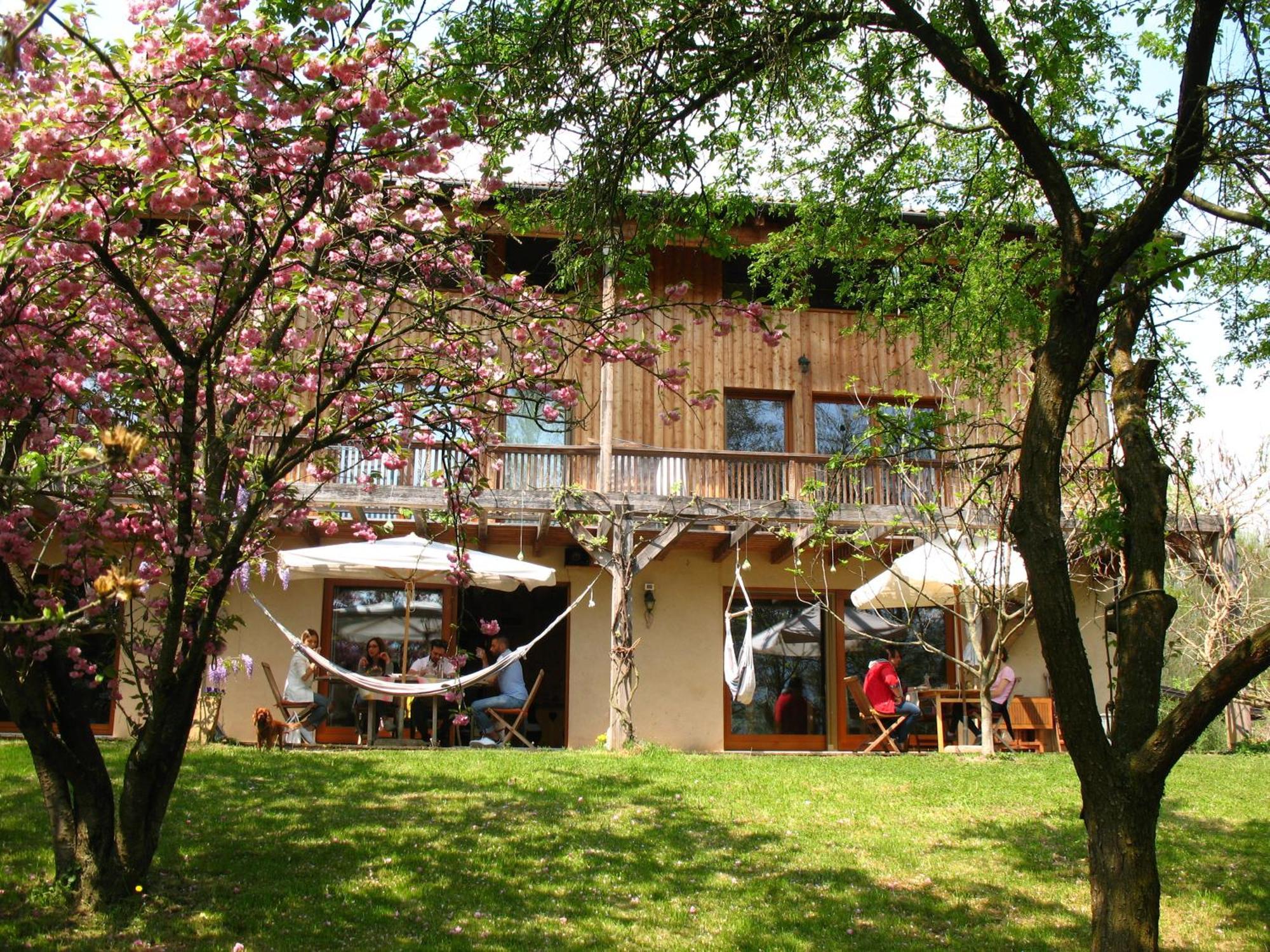 Bioagriturismo Vegan Campo Di Cielo Cesiomaggiore Kültér fotó