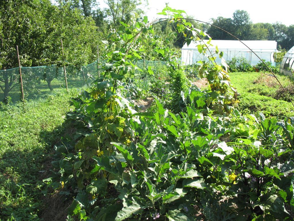 Bioagriturismo Vegan Campo Di Cielo Cesiomaggiore Kültér fotó