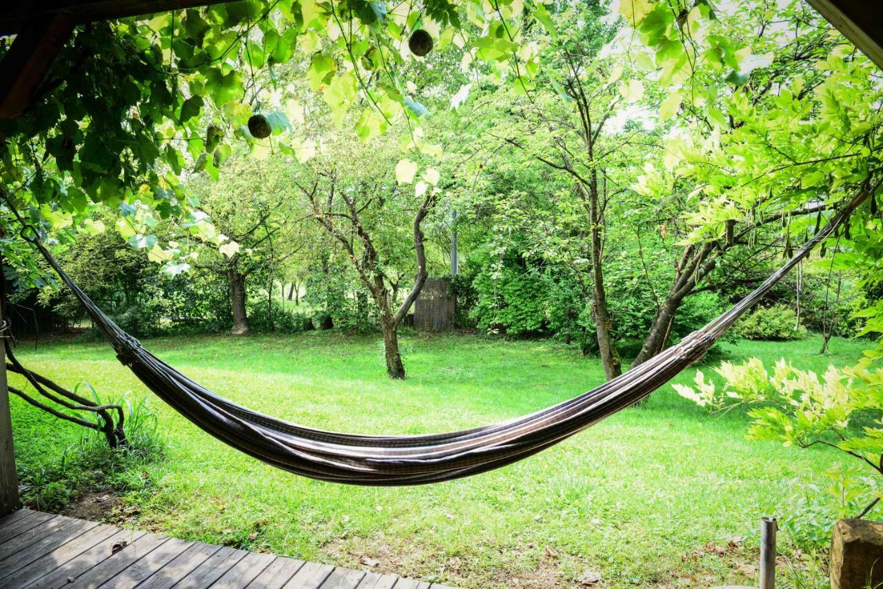 Bioagriturismo Vegan Campo Di Cielo Cesiomaggiore Kültér fotó