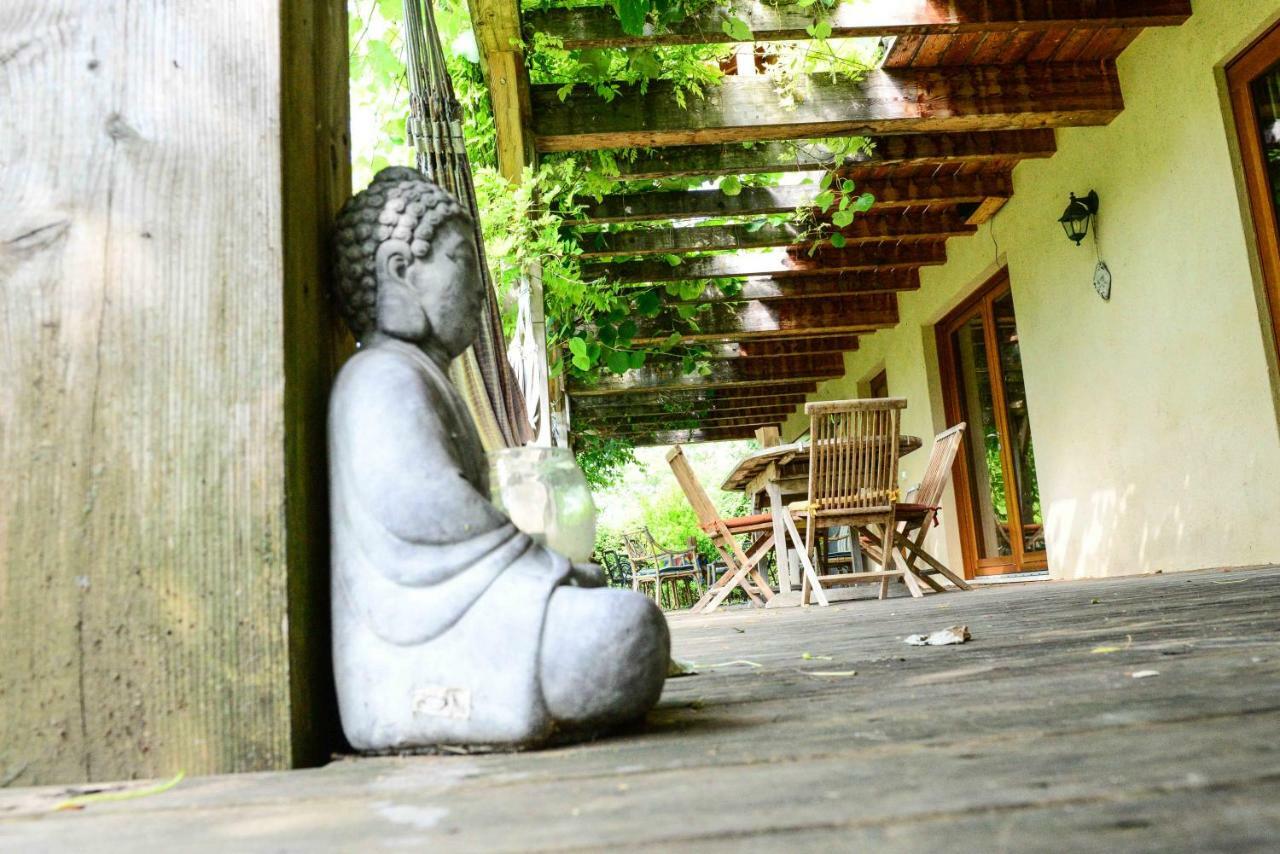 Bioagriturismo Vegan Campo Di Cielo Cesiomaggiore Kültér fotó